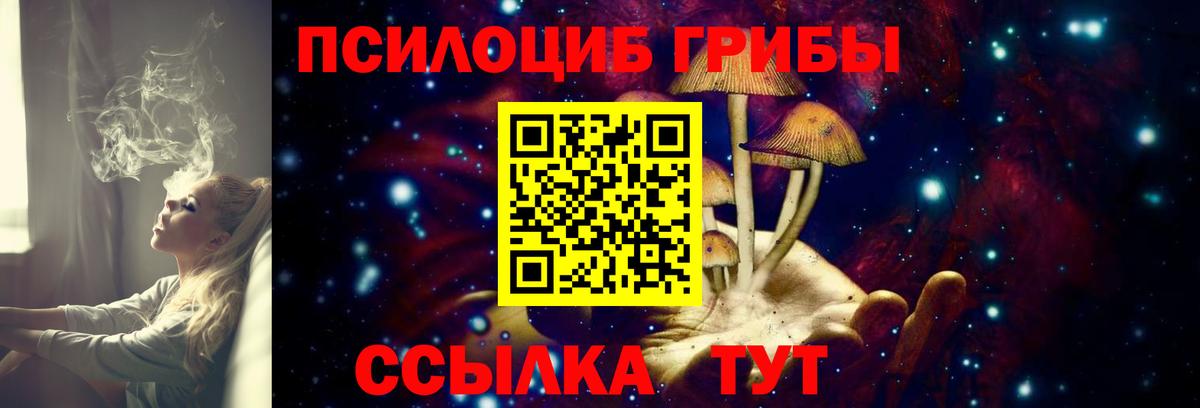 Галлюциногенные грибы MAGIC MUSHROOMS Кохма