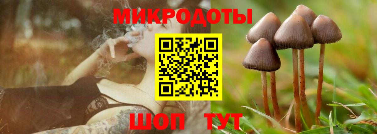 Кохма  закладки  Галлюциногенные грибы ЛСД  Вход с VPN  Псилоцибиновые грибы мицелий 